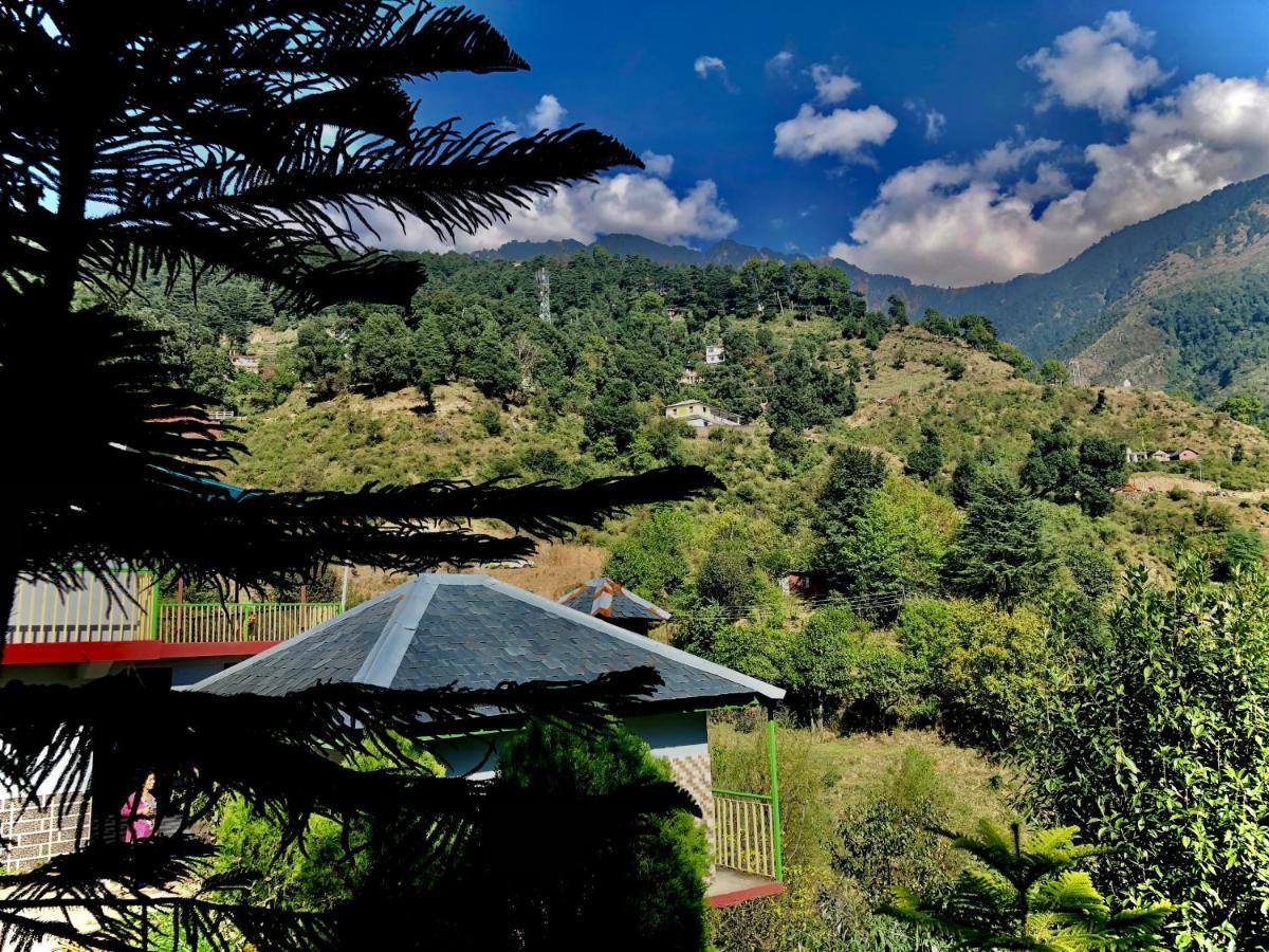 Amidst Home Stay Νταραμσάλα Εξωτερικό φωτογραφία